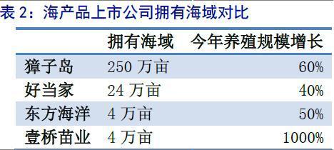 农林牧渔行业:政策催生良机 布局种业龙头_经济台_中国网络电视台