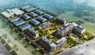 生态文化旅游商品富硒农特产品白茶种植及茶叶加工营养餐食材配送可研报告