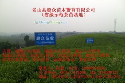阚辉(个体经营)_世界工厂网全球企业库
