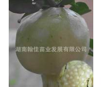 【益阳玉石产品库】_价格/图片/厂家 - 湖南产品库