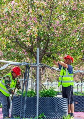 繁花靓江城丨“工厂”巧定制 百花“打短工” 苗业