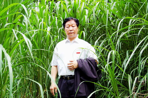 林占熺 以菌草技术推动全球扶贫，谱写绿色希望之歌