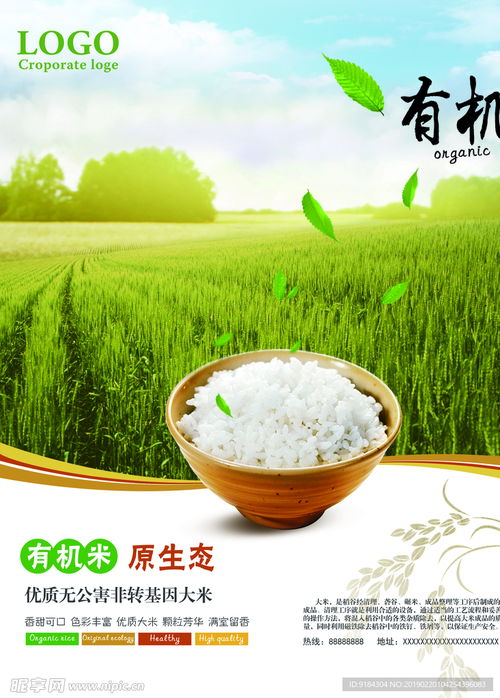 有机米原生态 绿色非转基因食品的苗业图设计理念