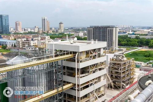 江海粮油张家港产业年加工96万吨二期榨油厂生产线正式开机投产并产出合格产品